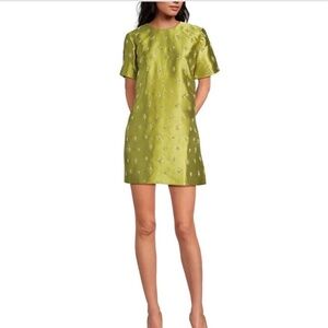 ISO Chelsea and violet embroidered dress